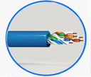 BELDEN 1583A006U1000 - Cable UTP / 4 Pares / Categoria