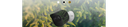 IMOU SILICONCOVERC (Silicon cover for LOOC Camouflage) - Cubierta para