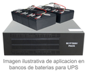 SAXXON CBAT7AH - Bateria de respaldo de 12 volts libre