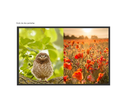 SAXXON LKV401MS- Switch de Video HDMI Multivista para 4 Entradas