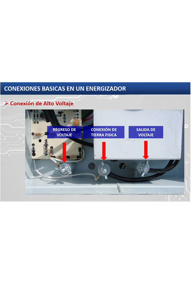 YONUSA EY12000127P - Energizador para solución de cerco eléctrico con