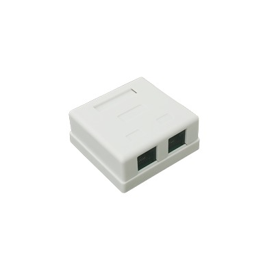 [66003] Caja de pared con Jack UTP Cat5e y Jack RJ11 telefónico