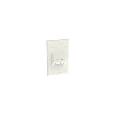 [178319] Placa de Pared Vertical Clásica, Salida Para 2 Puertos Mini-Com Inclinados, Con Espacios Para Etiquetas, Color Blanco